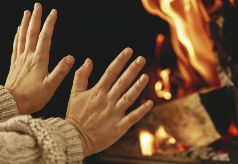 electric fireplace with logs